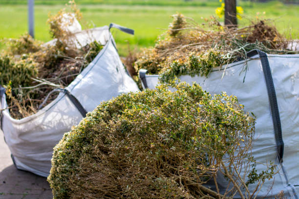 Best Professional Junk Removal  in Union City, NJ